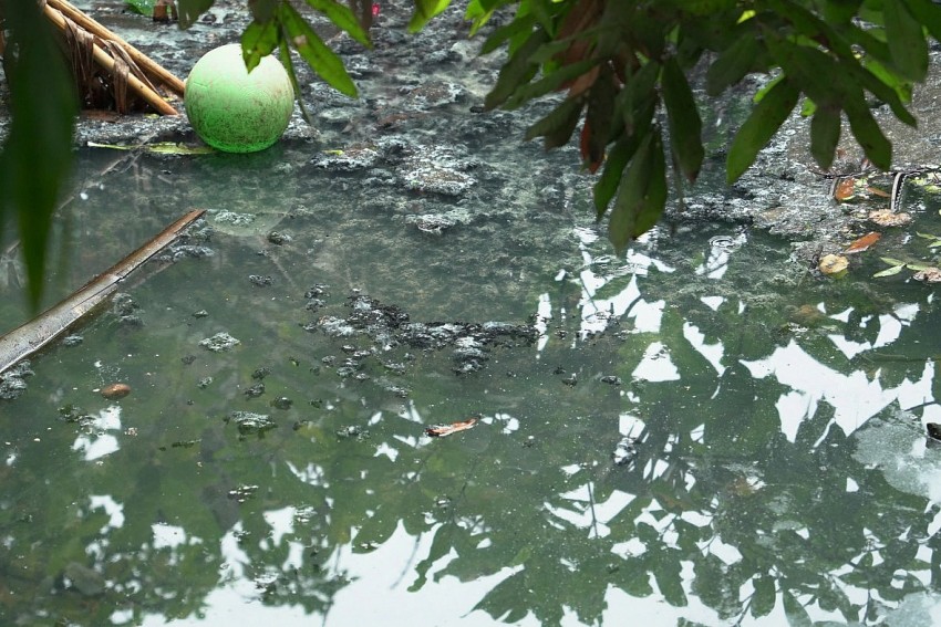 Thái Bình: Nguy cơ “biến mất” sông Cửa Đình Thái Bình: Nguy cơ “biến mất” sông Cửa Đình