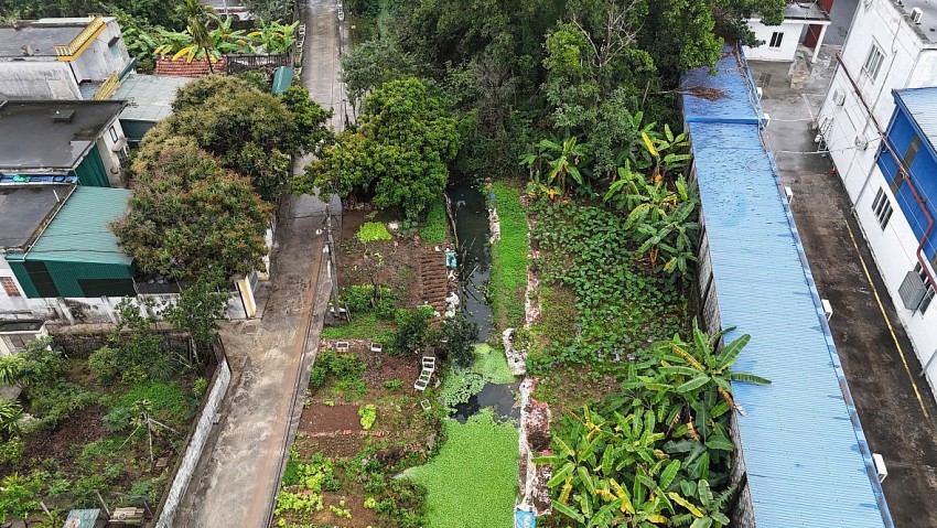 Dòng sông Cửu Đình đang bị thu hẹp, có nguy cơ sẽ dần biến mất Dòng sông Cửu Đình đang bị thu hẹp, có nguy cơ sẽ dần biến mất