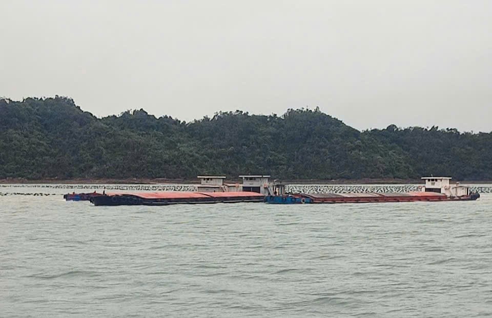 Quảng Ninh: Tàu thuyền khốn khổ vì luồng quốc gia bị bè hàu chắn lối
