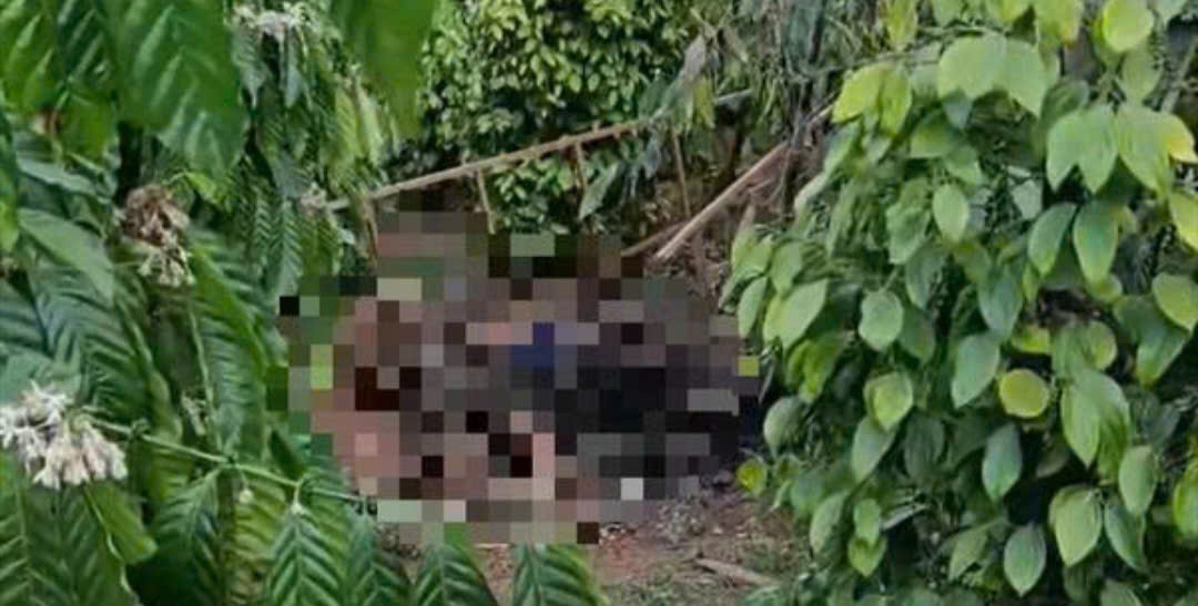 Đắk Nông: phát hiện 2 vợ chồng tử vong trong rẫy cà phê, nghi bị điện giật