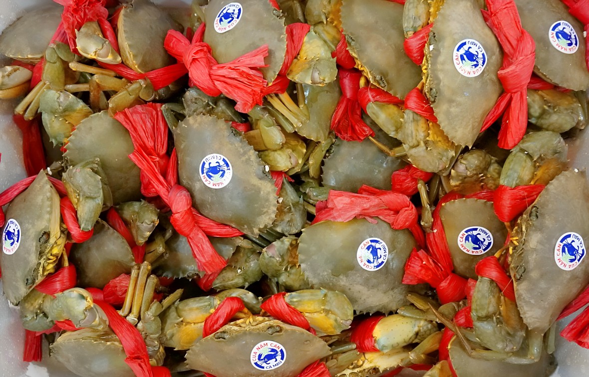 Giữ vững thương hiệu “Cua Năm Căn – Cà Mau”