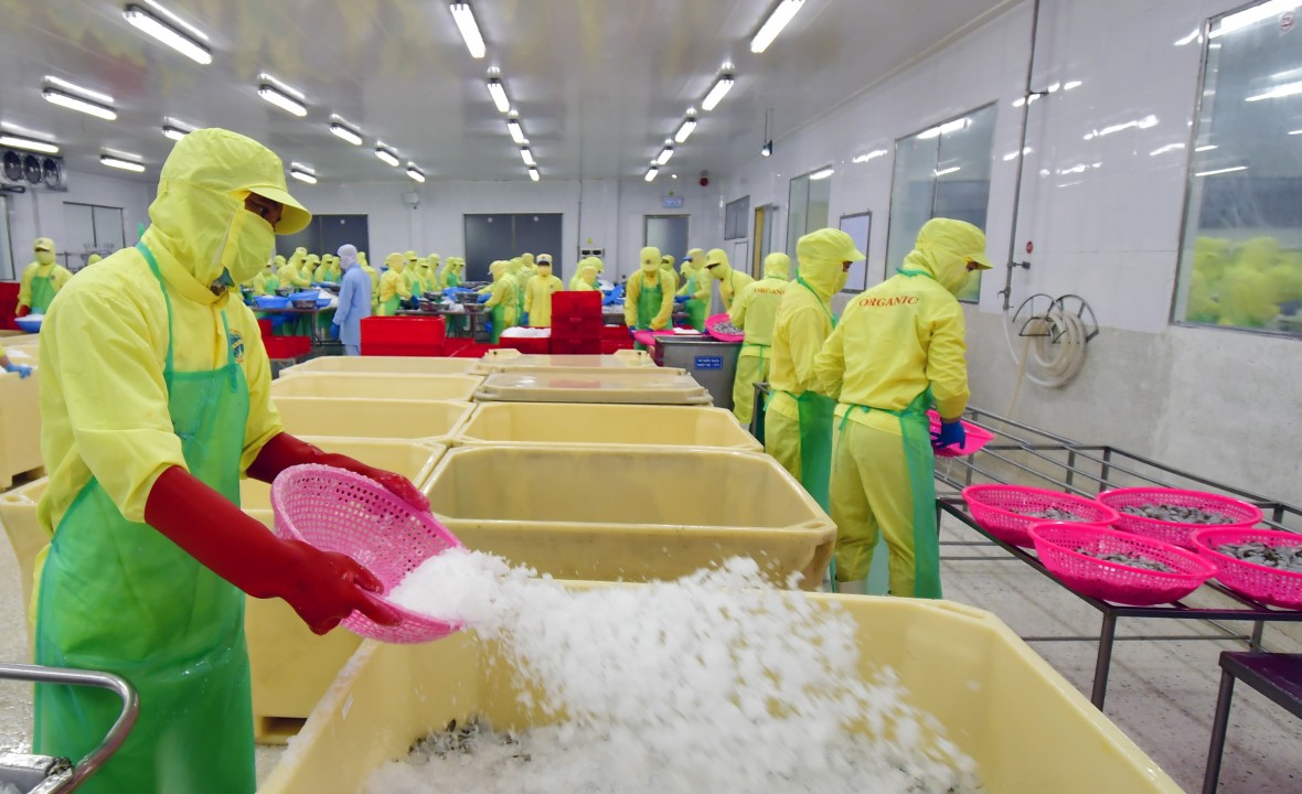 GRDP Cà Mau quý 1/2025 tăng hơn 5%