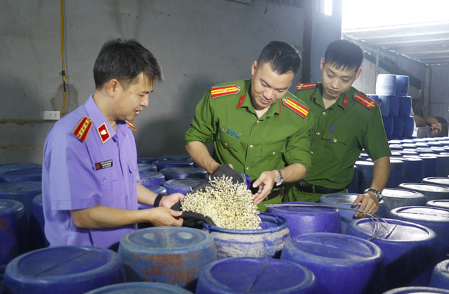 Lực lượng chức năng kiểm tra cơ sở sản xuất giá đỗ ngâm hóa chất ở thành phố Vinh, Nghệ An
