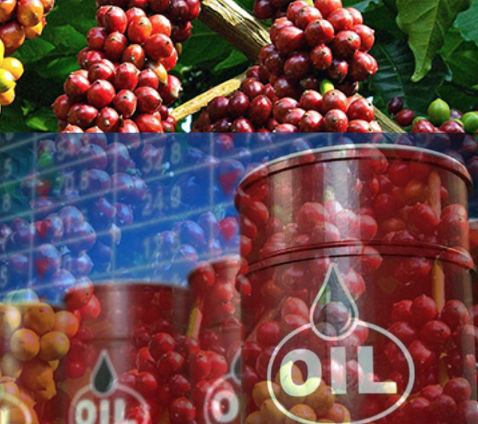 Thị trường hàng hóa rung lắc trong phiên giao dịch đầu tháng 5 Thị trường hàng hóa rung lắc trong phiên giao dịch đầu tháng 5