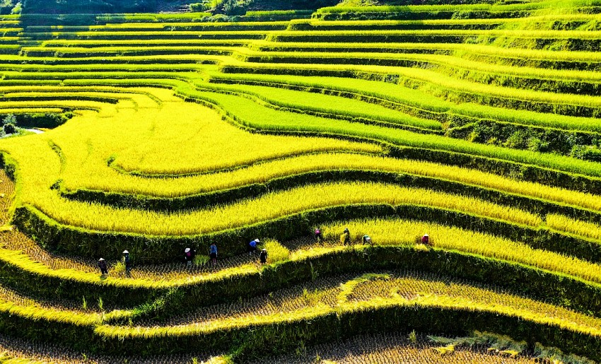 Lượng du khách đến Hà Giang dịp nghỉ lễ tăng hơn gấp đôi so với cùng kỳ năm trước