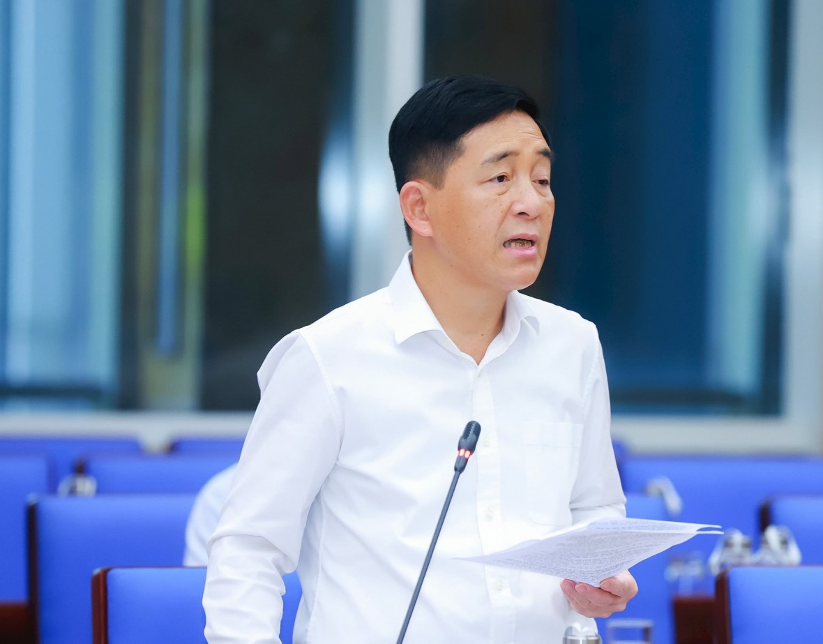 hánh Thanh tra tỉnh Nghệ An trình bày Đề án sắp xếp hệ thống cơ quan thanh tra - Ảnh TD