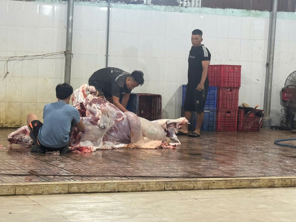Đồng Nai: Xử lý 2 cơ sở giết mổ heo, bò do vi phạm vệ sinh, an toàn thực phẩm