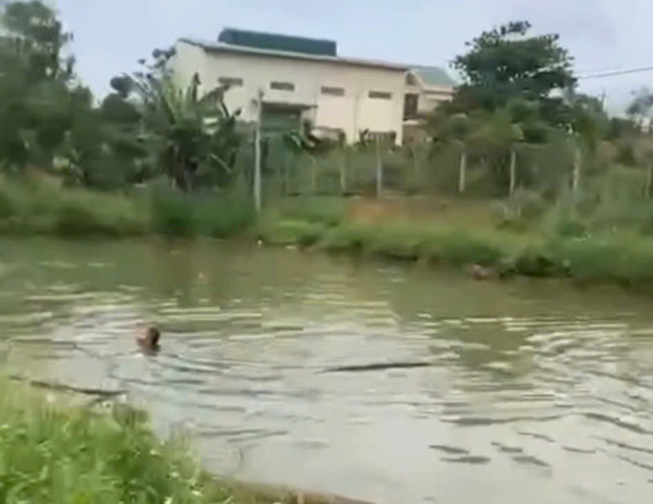 Theo nhóm bạn rủ nhau ra hồ chơi, hai cháu nhỏ ở Đắk Lắk đuối nước thương tâm