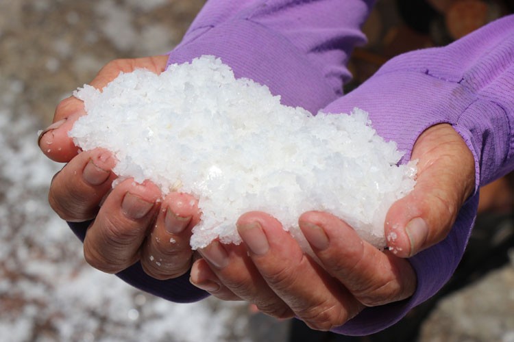 Tôn vinh nghề làm muối truyền thống ở Thái Bình