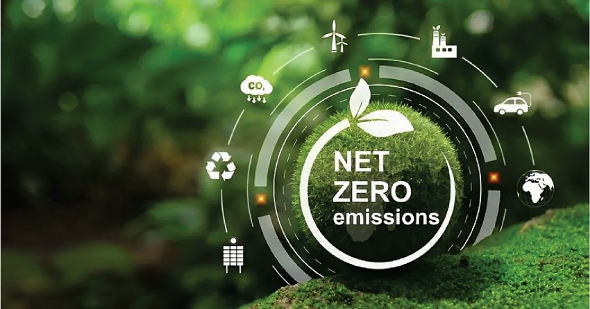 Giảm đạm dư thừa trong chăn nuôi – Giải pháp xanh hướng đến Net zero 2050