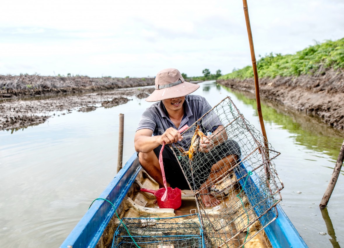 Cà Mau đẩy mạnh sản xuất và phát triển ngành hàng cua