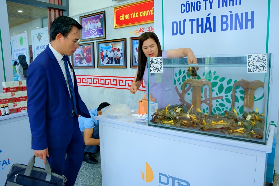 Cà Mau đẩy mạnh sản xuất và phát triển ngành hàng cua