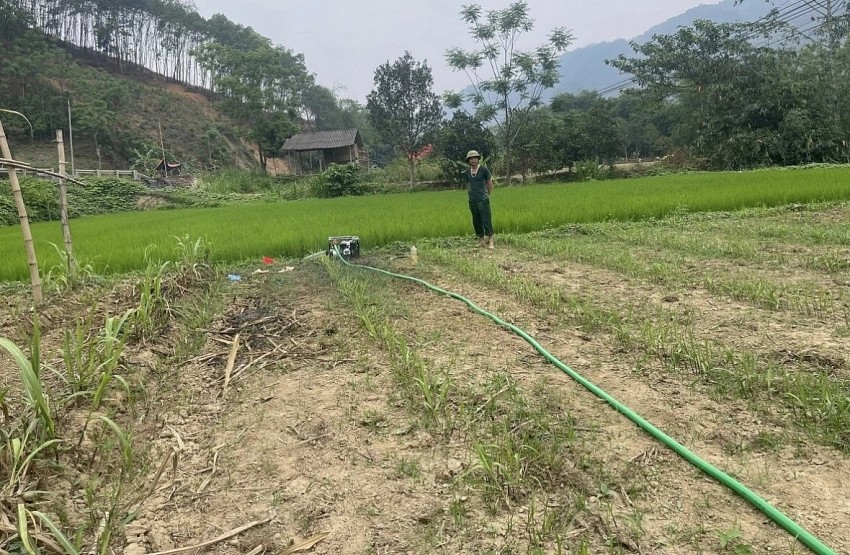 Hạn hán kéo dài khiến hơn 1.900ha cây trồng ở Bắc Kạn bị ảnh hưởng