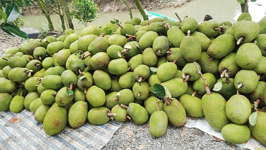 Cho phép sử dụng địa danh 