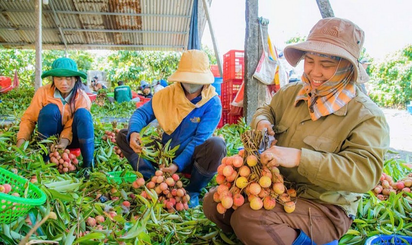 Thủ tướng chỉ đạo các giải pháp khắc phục tình trạng 