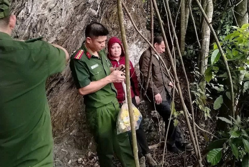 Giải cứu cặp vợ chồng mắc kẹt trong rừng núi hiểm trở