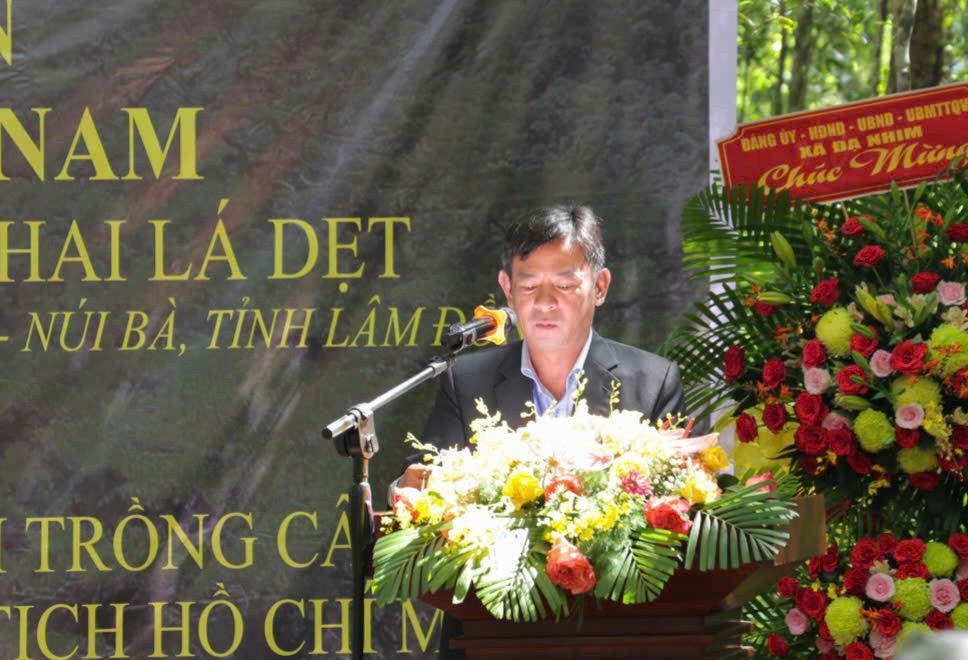 Thông hai lá dẹt Vườn Quốc gia Bidoup - Núi Bà được công nhận là Cây Di sản Việt Nam