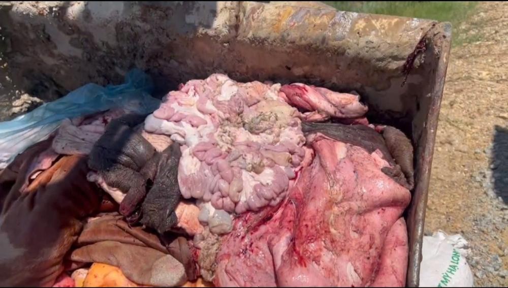 Thu giữ hơn 1 tấn sản phẩm động vật bốc mùi hôi thối tại Hà Tĩnh