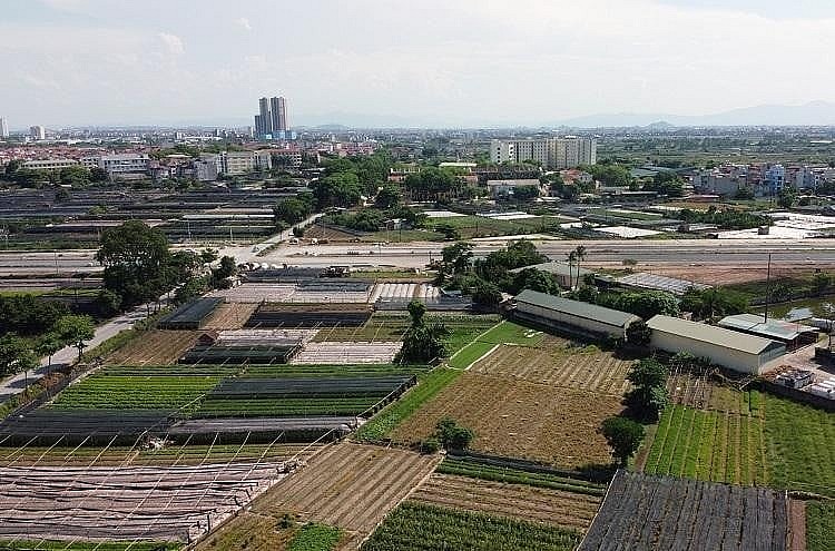 Giao 96.556m2 đất tại phường Tây Tựu cho UBND quận Bắc Từ Liêm để xây dựng hạ tầng kỹ thuật