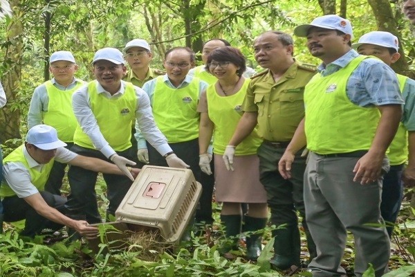 Nhiều hoạt động ý nghĩa hưởng ứng Ngày Quốc tế Đa dạng sinh học năm 2025