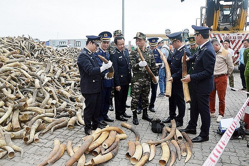 Bổ sung thành viên Tổ công tác của Thủ tướng Chính phủ về cao điểm đấu tranh ngăn chặn buôn lậu, hàng giả Bổ sung thành viên Tổ công tác của Thủ tướng Chính phủ về cao điểm đấu tranh ngăn chặn buôn lậu, hàng giả