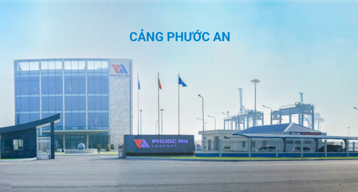 Công ty cổ phần Dầu khí Đầu tư Khai thác Cảng Phước An bị xử phạt hơn 300 triệu đồng