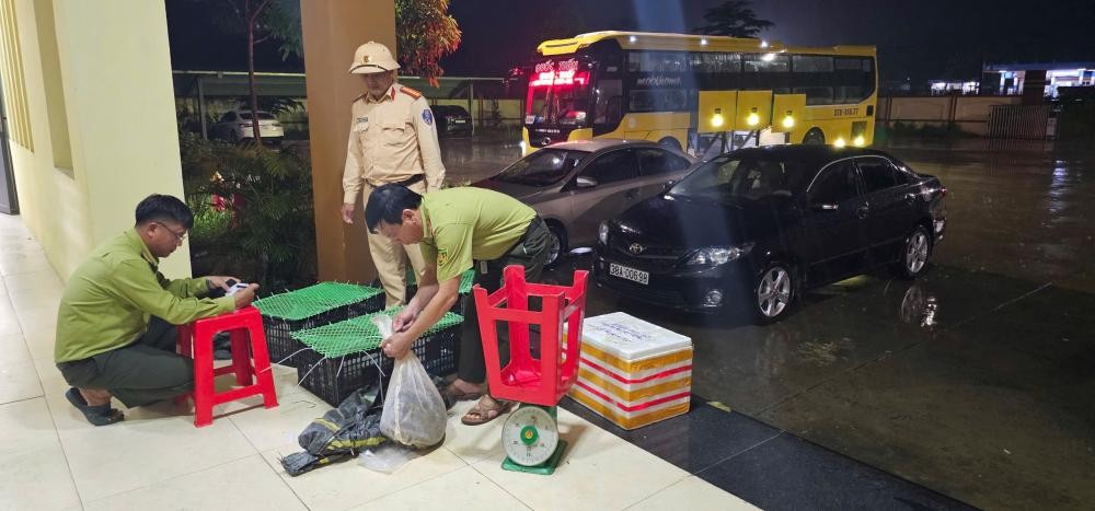 Toàn bộ số động vật không có giấy tờ hợp pháp đi kèm - Ảnh Công an Hà Tĩnh.