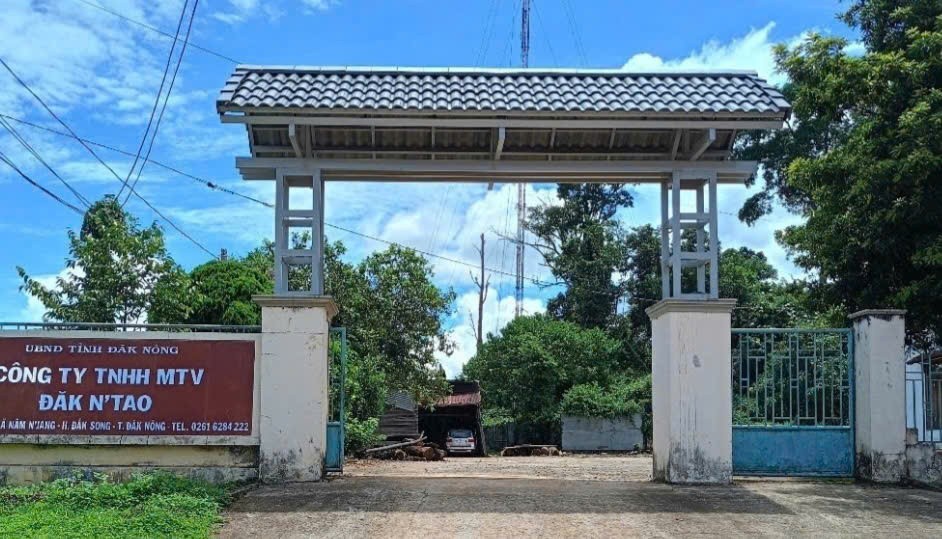 Nhiều cán bộ, nhân viên của công ty lâm nghiệp bị tấn công khi đi kiểm tra rừng