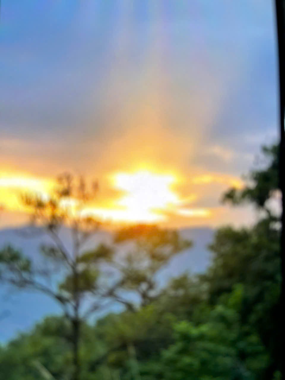 Xá lợi Đức Phật đã được an vị tại chùa Chuông