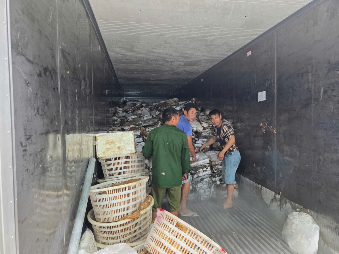 Tạm giữ hơn 25 tấn thực phẩm không rõ nguồn gốc tại kho lạnh ở Móng Cái Tạm giữ hơn 25 tấn thực phẩm không rõ nguồn gốc tại kho lạnh ở Móng Cái