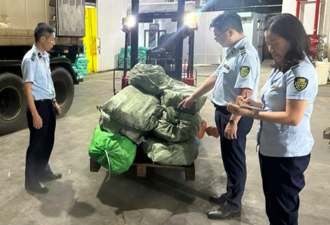 Đoàn kiểm tra Đội Quản lý thị trường số 1 tiến hành kiểm đếm tang vật vi phạm (Ảnh: Chi Cục Quản lý thị trường tỉnh Quảng Ninh cung cấp). Đoàn kiểm tra Đội Quản lý thị trường số 1 tiến hành kiểm đếm tang vật vi phạm (Ảnh: Chi Cục Quản lý thị trường tỉnh Quảng Ninh cung cấp).