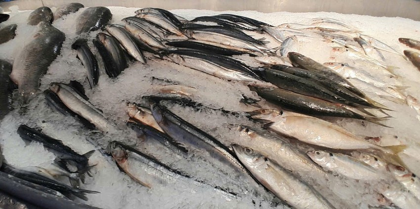 Xuất khẩu thủy sản Việt Nam vẫn tăng trưởng trong bối cảnh thị trường nhiều biến động