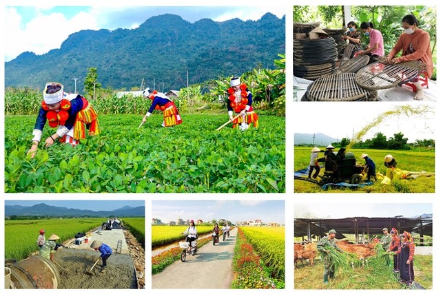 Thành lập Ban Chỉ đạo Trung ương các chương trình mục tiêu quốc gia giai đoạn 2021 - 2025