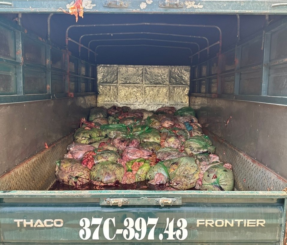 Xe tải ngang nhiên chở nội tạng có dấu hiệu biến chất.