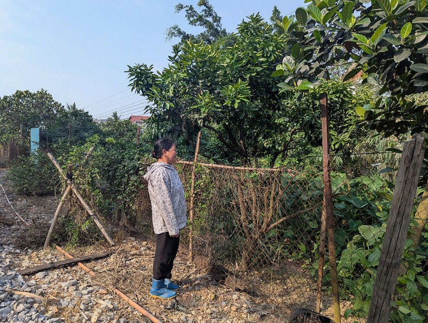 Bà Đặng Thị Mai buồn bã trước đứng trước khu đất đã hàng chục năm chăm sóc