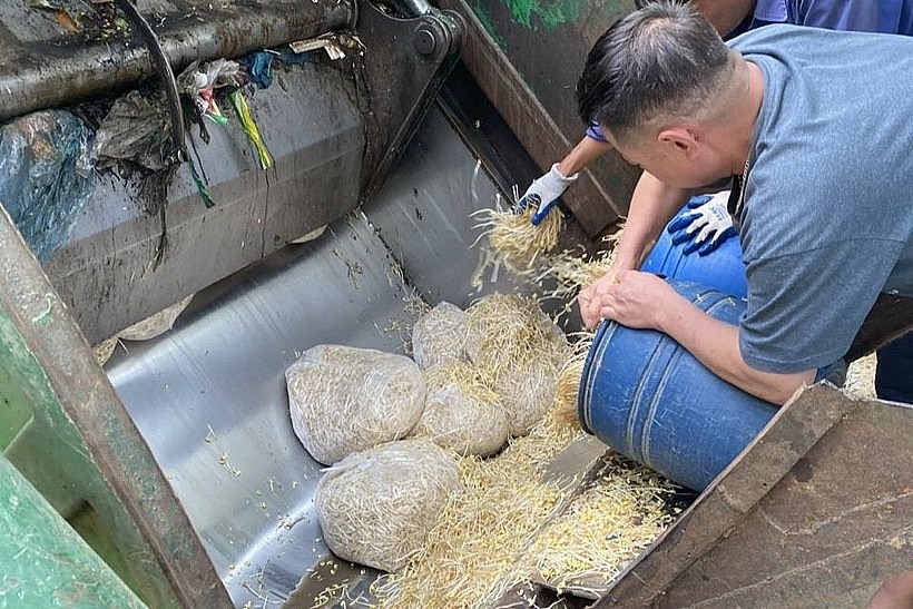 Tiêu hủy hơn 3 tấn giá đỗ ngâm hóa chất độc hại