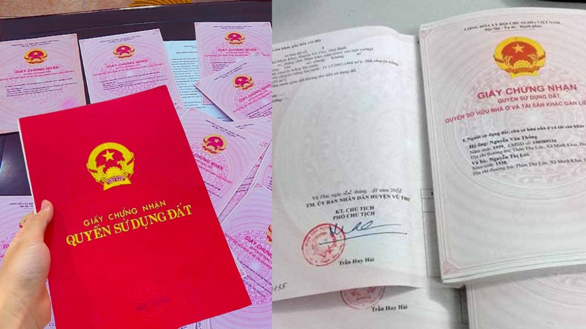 Ảnh minh họa Ảnh minh họa