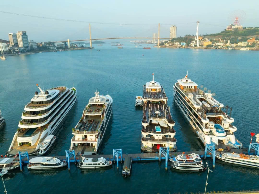 Quảng Ninh là điểm đến được nhiều du khách tàu biển yêu thích