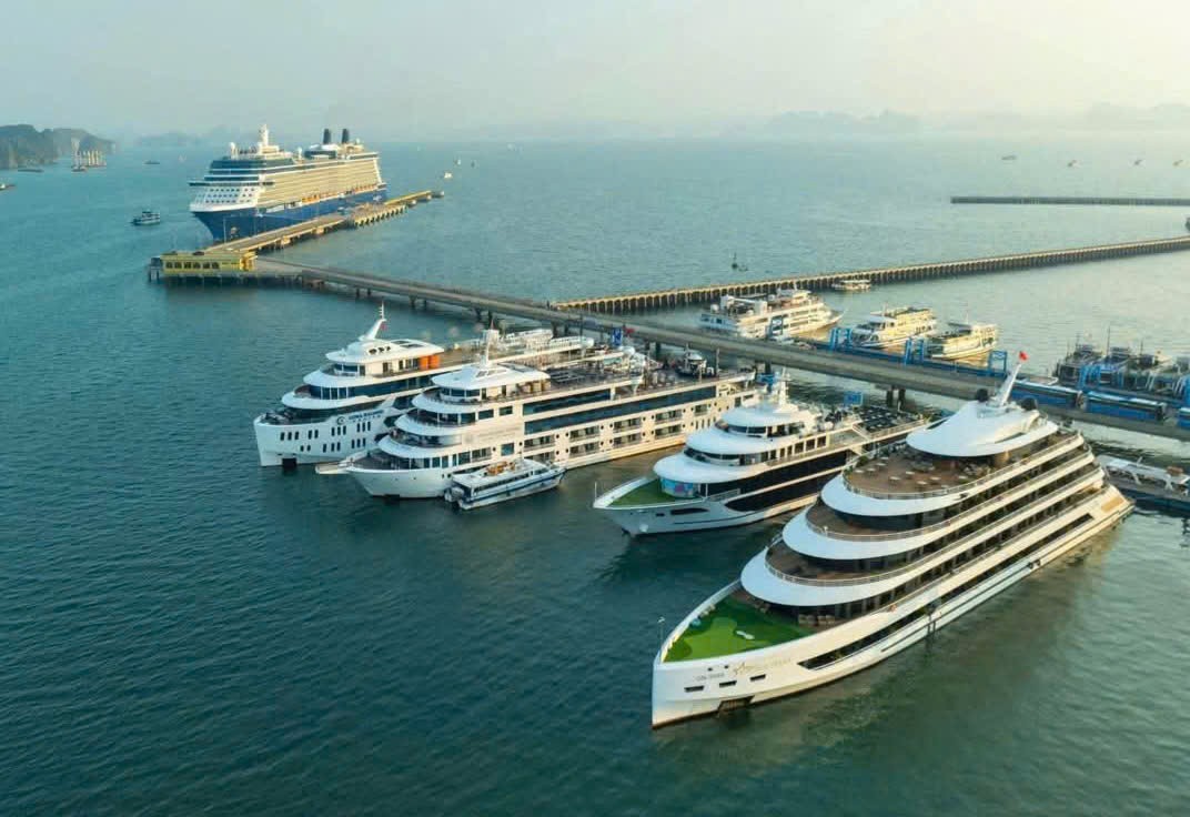 Quảng Ninh là điểm đến được nhiều du khách tàu biển yêu thích
