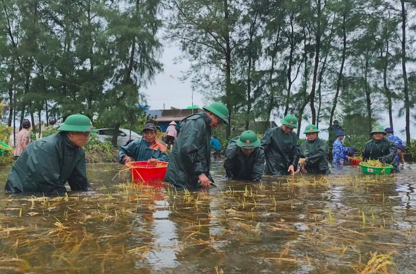 Mưa lũ khiến 7 người thiệt mạng và mất tích, nhiều diện tích hoa màu bị tàn phá