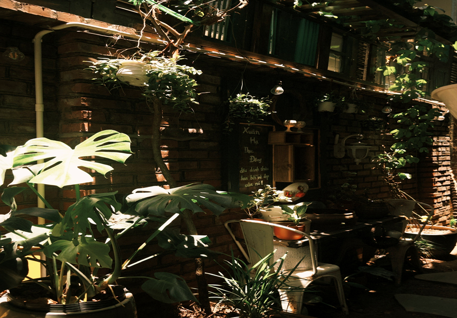 Xúc cảm lúc bình minh…