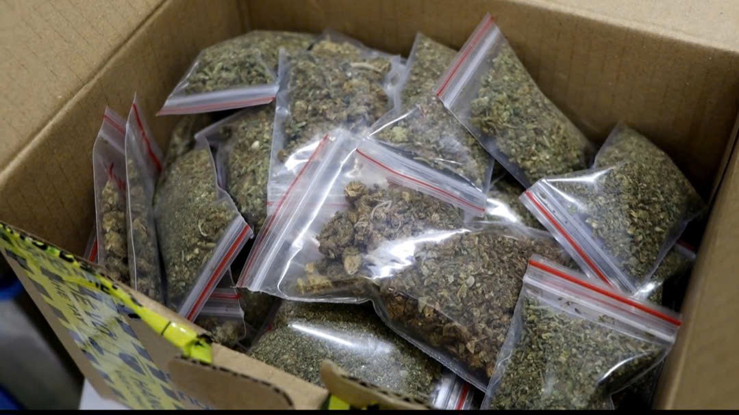 Công an tỉnh Quảng Ninh triệt phá đường dây mua bán gần 600 kg cần sa, khởi tố 26 đối tượng