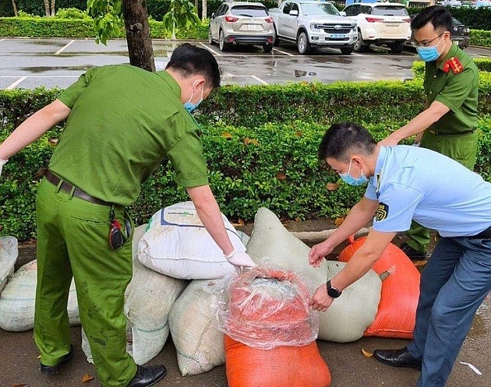 Thu giữ 883 kg nội tạng động vật không rõ nguồn gốc xuất xứ Thu giữ 883 kg nội tạng động vật không rõ nguồn gốc xuất xứ