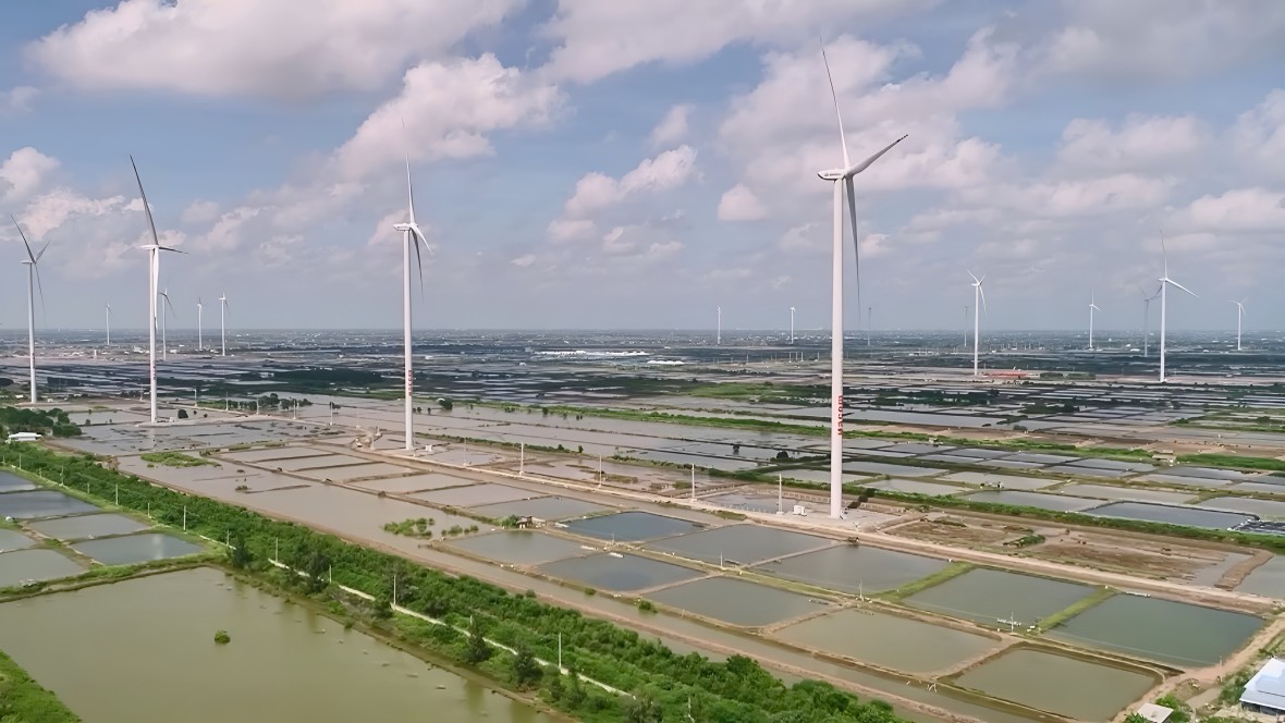 Hợp nhất tỉnh Bạc Liêu và Cà Mau: Dấu mốc lịch sử, khơi dậy tinh thần đoàn kết Hợp nhất tỉnh Bạc Liêu và Cà Mau: Dấu mốc lịch sử, khơi dậy tinh thần đoàn kết