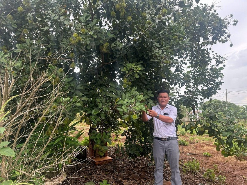 Chia sẻ của Phó chủ tịch phường Bảo Vinh trước khi phường được sáp nhập