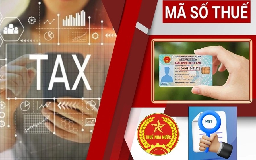 Chính thức sử dụng số định danh điện tử thay mã số thuế từ 1/7/2025. (Ảnh: Chinhphu.vn)