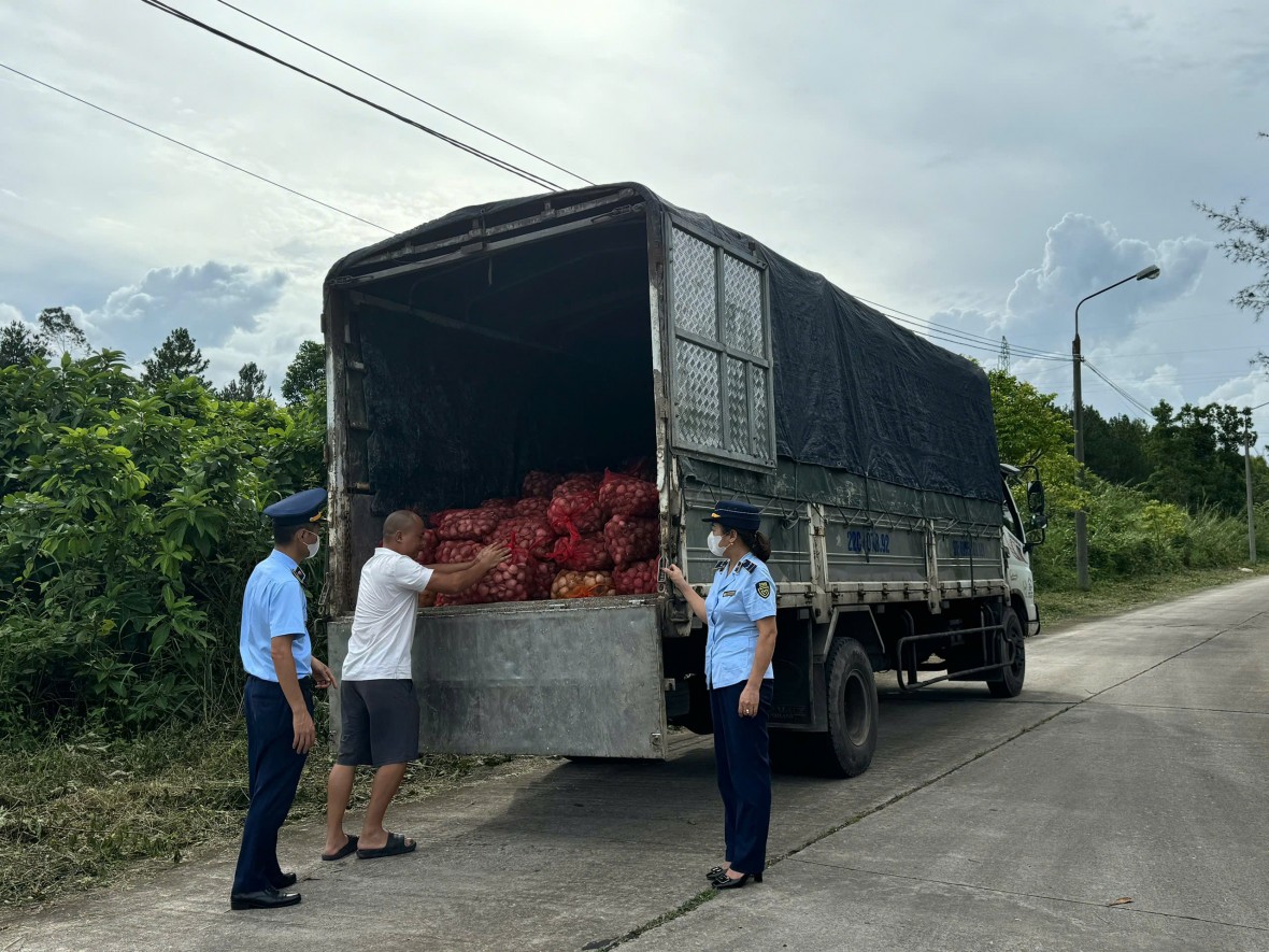 Phát hiện bắt giữ 2 vụ vận chuyển gần 17 tấn ngao, hàu không rõ nguồn gốc, xuất xứ