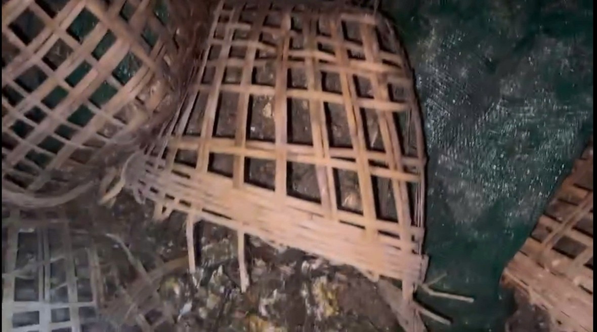 Phát hiện bắt giữ 2 vụ vận chuyển gần 17 tấn ngao, hàu không rõ nguồn gốc, xuất xứ