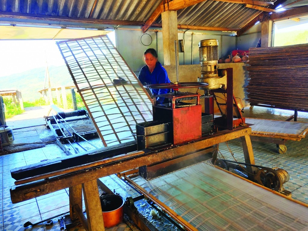 Người dân xóm Phja Đén, xã Thành Công sản xuất miến dong. Người dân xóm Phja Đén, xã Thành Công sản xuất miến dong.