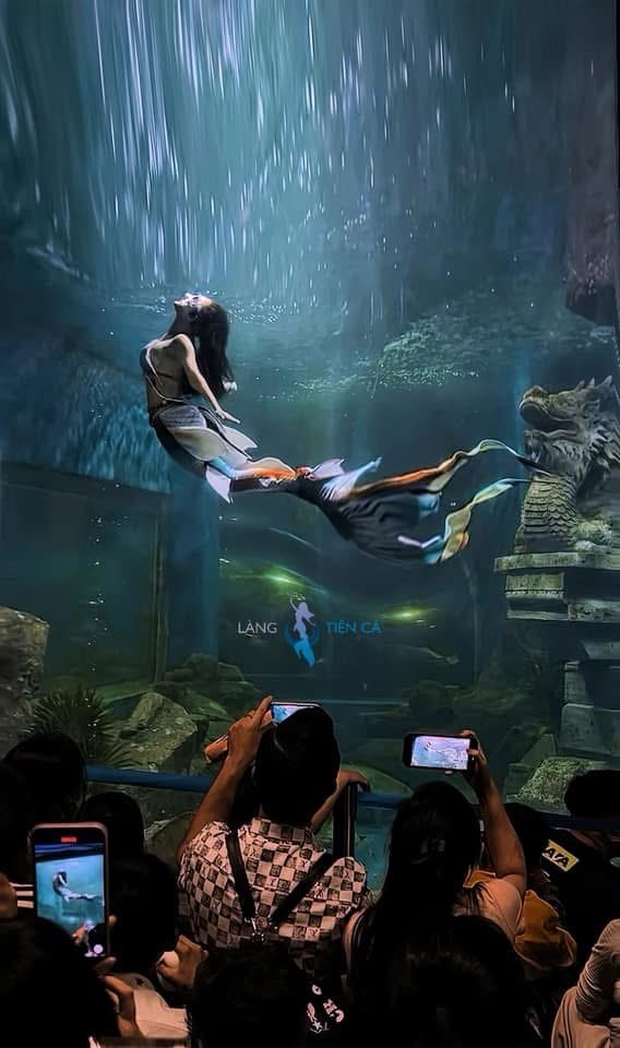 Nghề “nàng tiên cá” như đóng kịch câm dưới nước